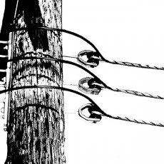 Coated Dead-end